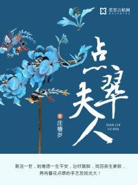 点翠夫人封面