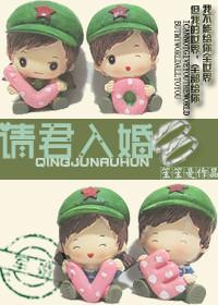 请君入婚封面