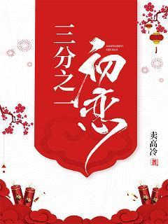 三分之一初恋封面