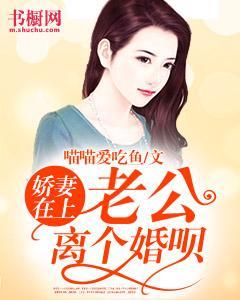 娇妻在上：老公离个婚呗封面