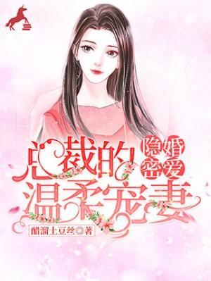 隐婚密爱：总裁的温柔宠妻封面