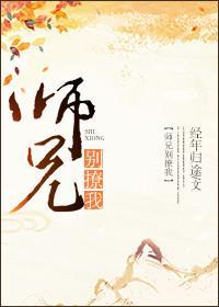 师兄别撩我封面