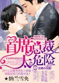 首席总裁，太危险封面
