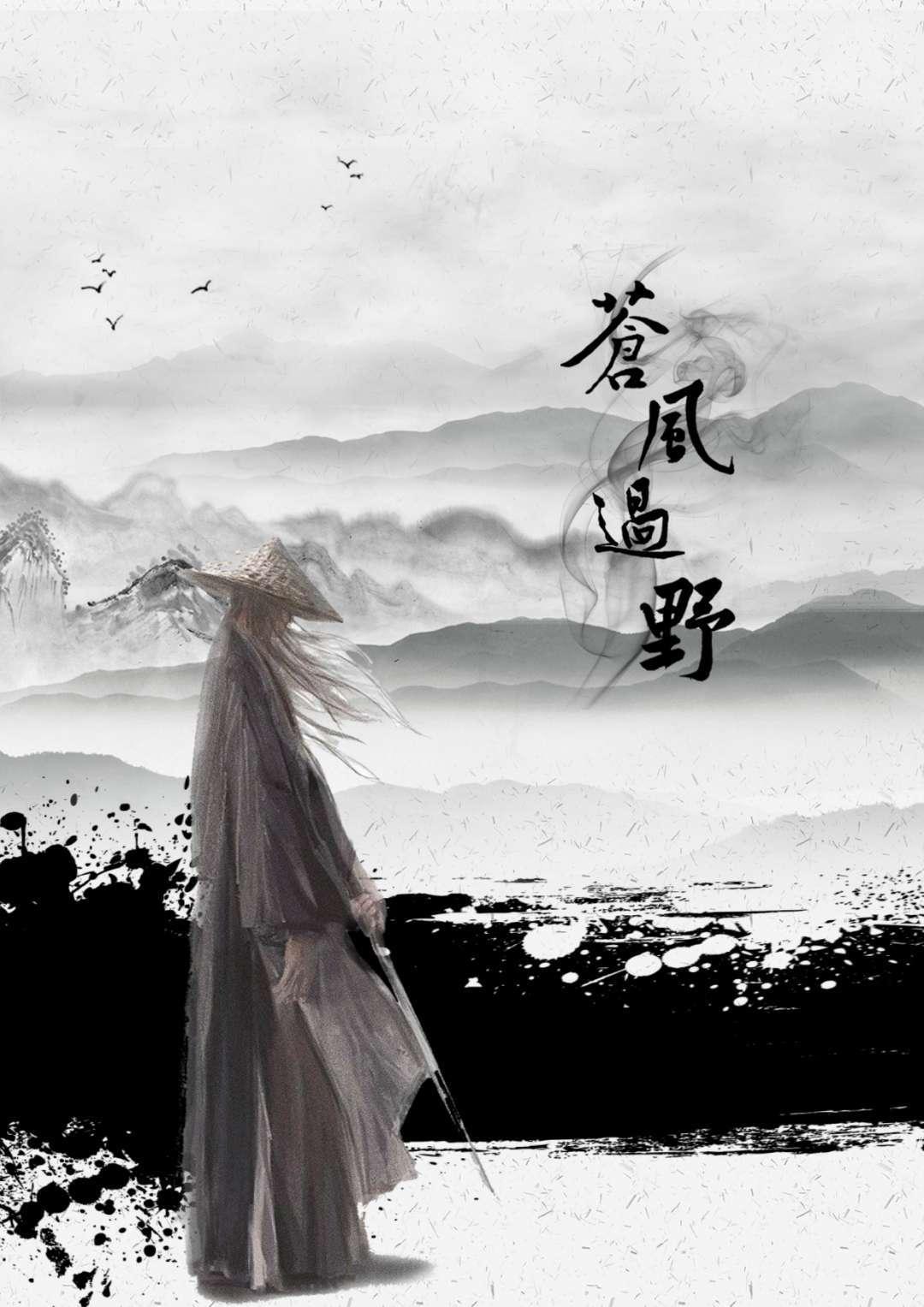 苍风过野封面