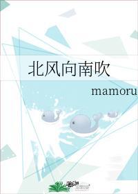 北风向南吹封面