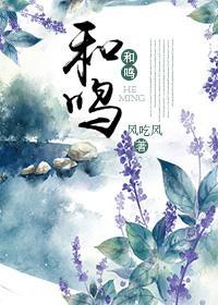 和鸣封面