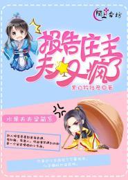 报告庄主，夫人又疯了封面