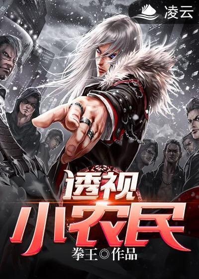 透视小农民封面