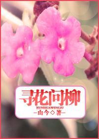 何寻，何寻封面