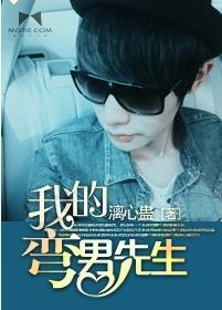 我的弯男先生封面