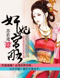 奸妃宫略封面
