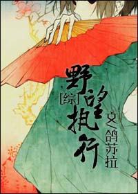 [综]野望执行封面