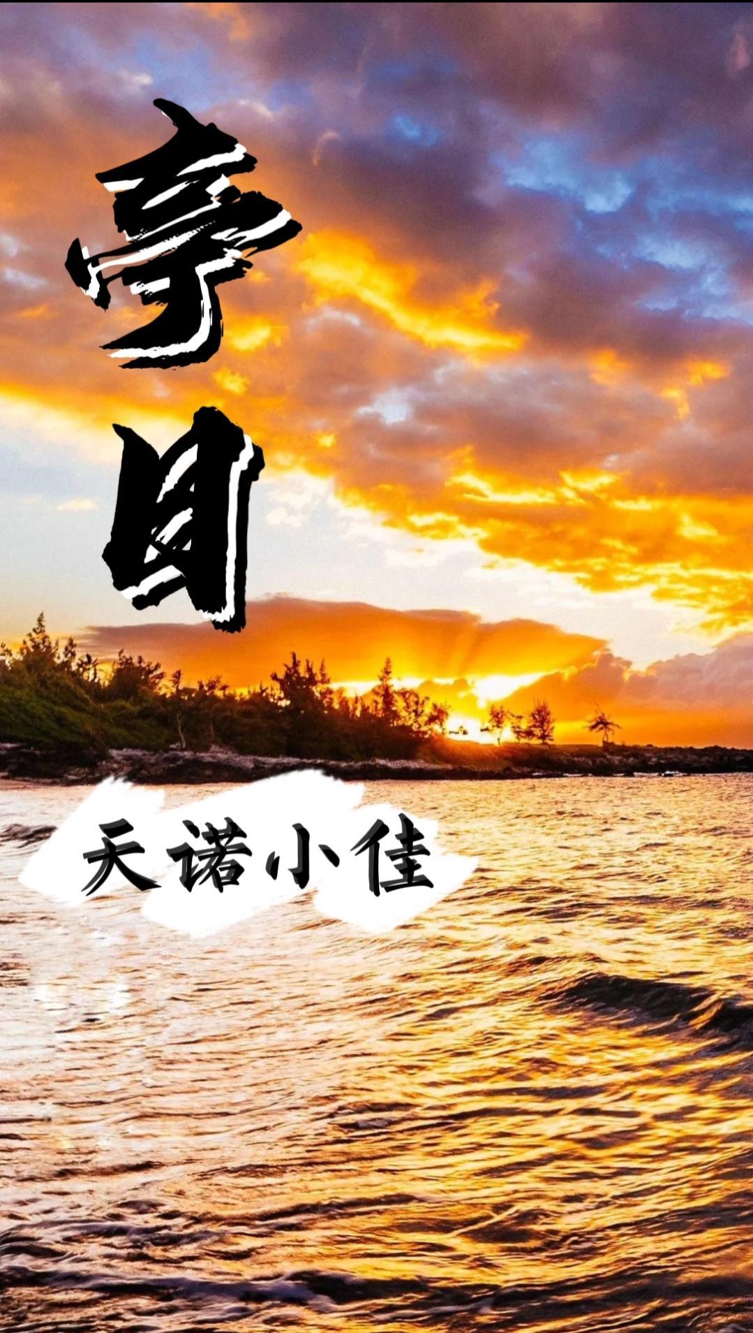 亭日封面