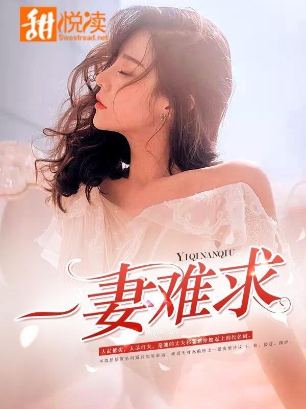一妻难求封面