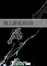 独立游戏30330封面