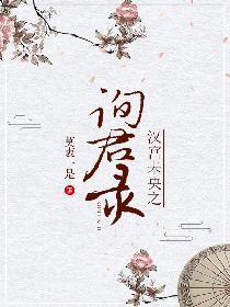 汉宫未央之询君录封面