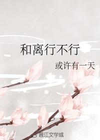 和离行不行封面