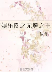 韩娱之无冕之王封面