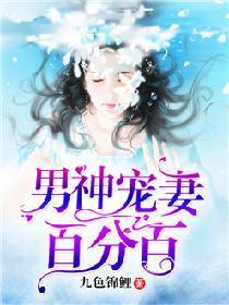 男神宠妻百分百封面