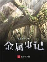 金属事记封面