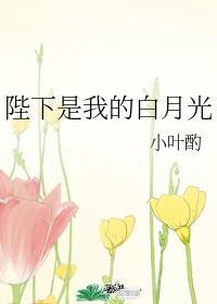 陛下是我的白月光封面