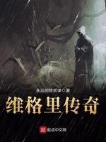 维格里传奇封面