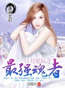 日月星辰之最强魂者封面