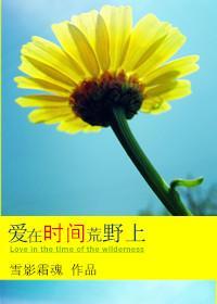 爱在时间荒野上封面