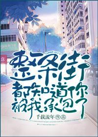 整条街都知道你被我承包了封面