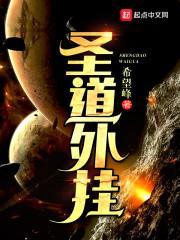 圣道外挂封面