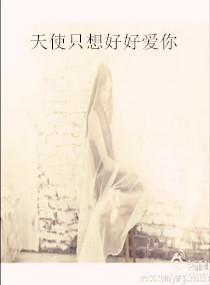 天使只想好好爱你封面