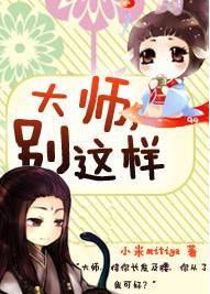 大师，别这样！封面