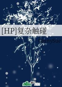 [HP]覆杂触碰封面