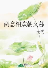 两意相欢朝又暮封面