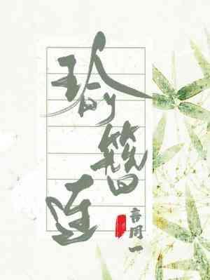 瑜簪连封面