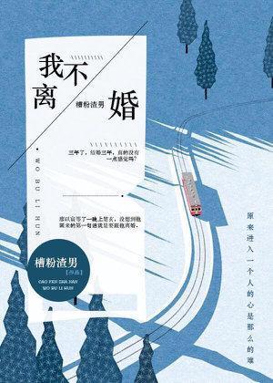 我不离婚封面