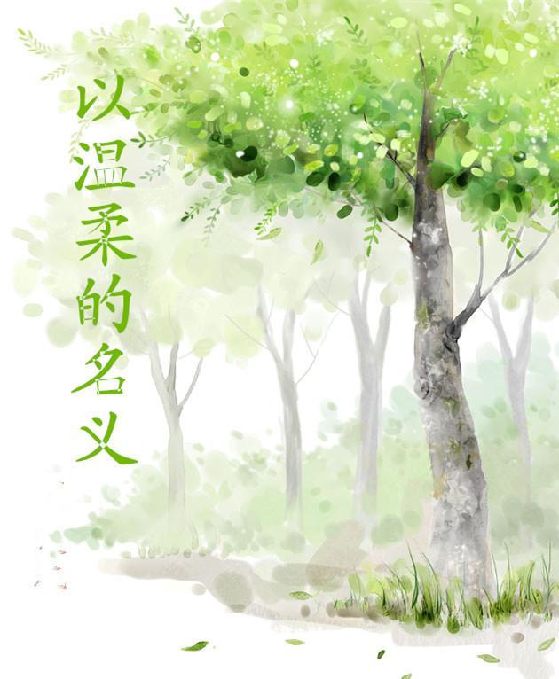 以温柔的名义封面
