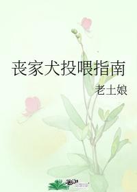 丧家犬投餵指南封面