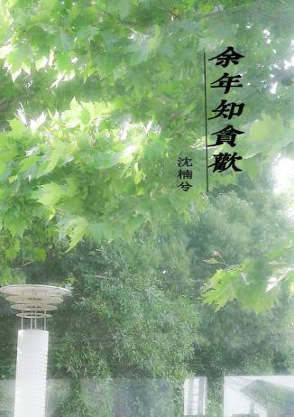 余年知贪欢封面