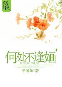 何处不逢婳封面