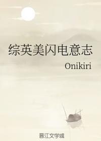 综英美闪电意志封面