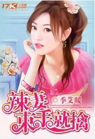 辣妻束手就擒封面