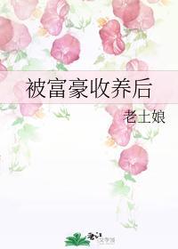 被富豪收养后封面