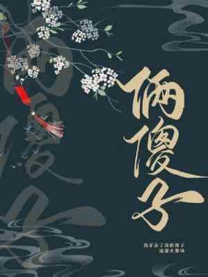 俩傻子封面