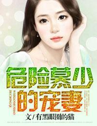 危险慕少的爱妻封面