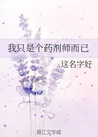 我只是个药剂师而已封面
