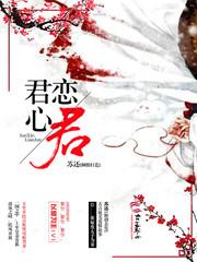 君心恋君封面