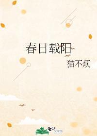 春日载阳封面