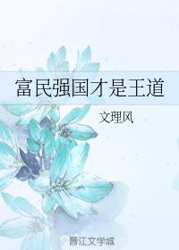 富民强国才是王道封面