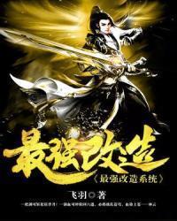 最强改造系统封面